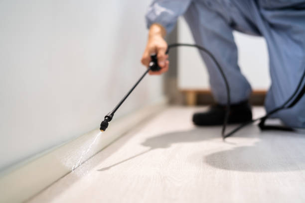 Licensed Termite Control service in District of Columbia County, DC - Nex Pest Control