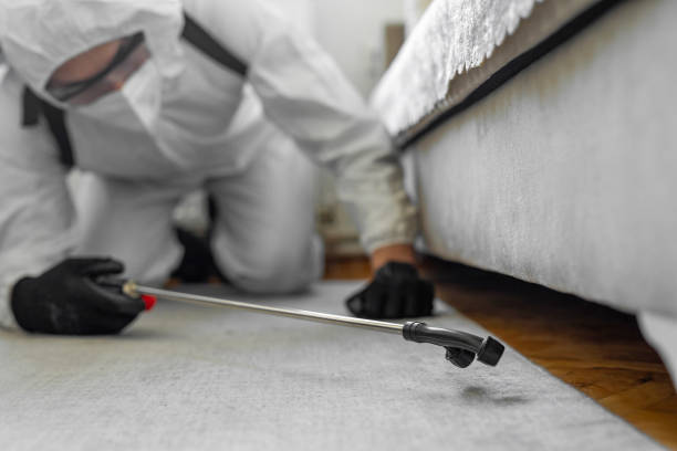 Professional Termite Control technician working in District of Columbia County, DC